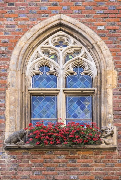 Ventana ayuntamiento histórico — Foto de Stock