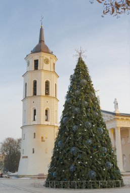 Vilnius Katedrali, Noel ağacı