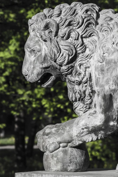 Park da taştan aslan — Stok fotoğraf