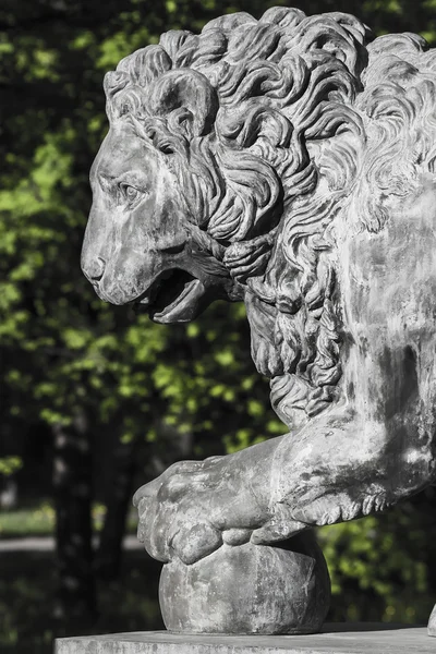 Steinlöwe im Park — Stockfoto