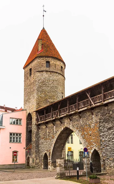 Tallinn Estonsko Klášterní Brána Věž Středověké Městské Hradby Talin Památník — Stock fotografie