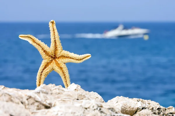 Sommaren på stranden — Stockfoto