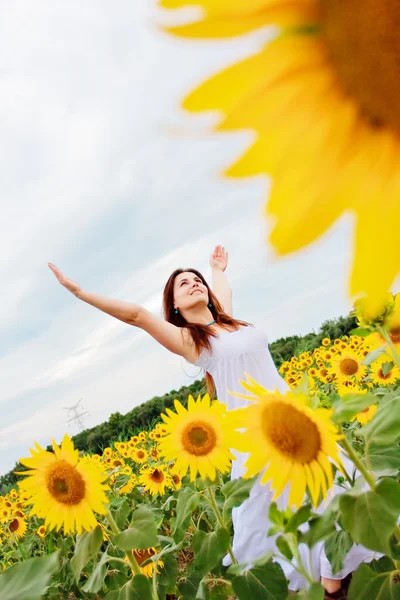 Happy girl between sunflower — Stock Photo, Image