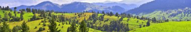 Panoramic rural landscape