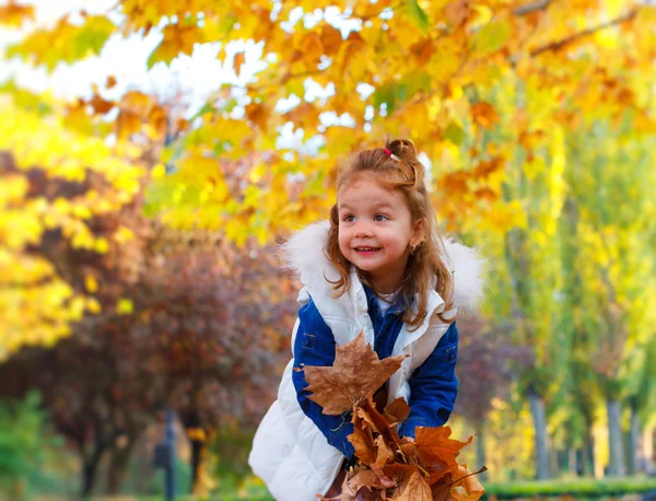 Милый ребенок играет с осенними листьями — стоковое фото