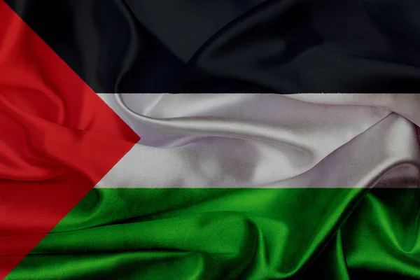 パレスチナ グランジ旗 — ストック写真