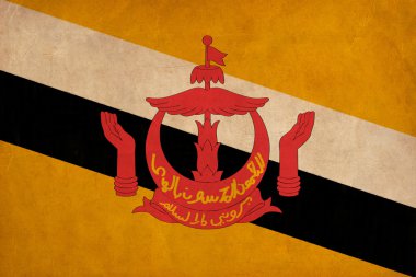 çizim, grunge ve retro bayrak serisi brunei bayrağı