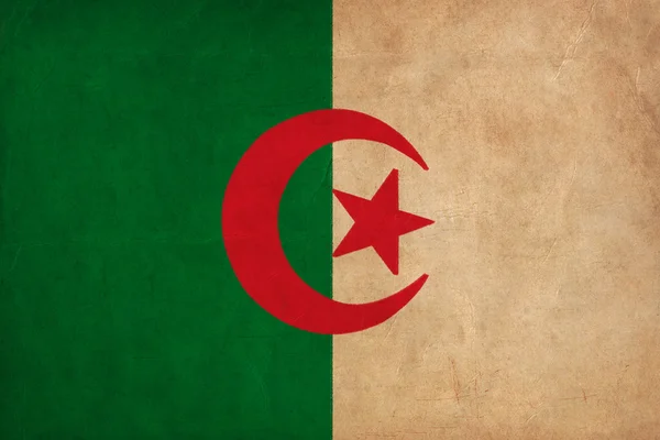 Flaga Algierii rysunek, grunge i serii retro flaga — Zdjęcie stockowe