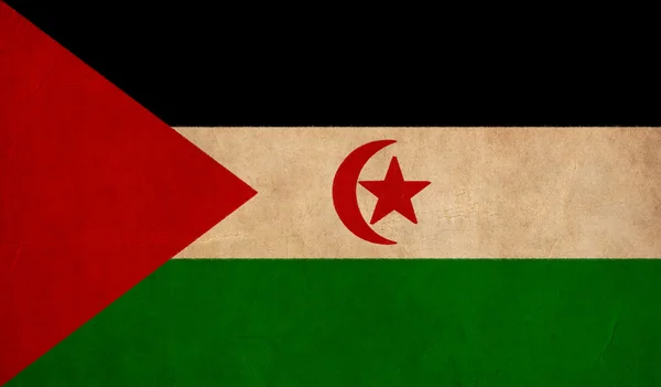 Western Sahara Flaggenzeichnung, Grunge und Retro Flaggenserie — Stockfoto