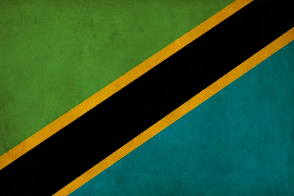 Tanzania flagga teckning, grunge och retro flagga serien — Stockfoto