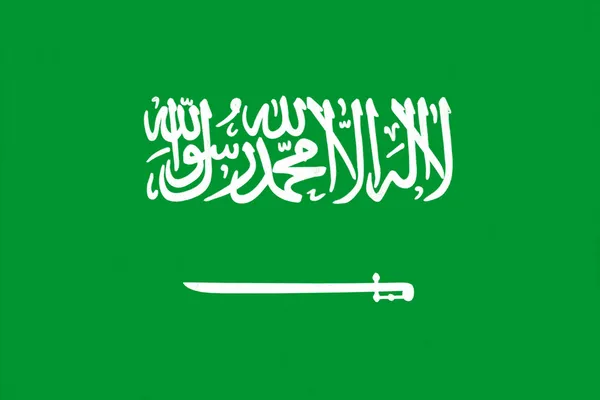 Bandera de Arabia Saudita dibujo por pastel sobre papel carbón — Foto de Stock