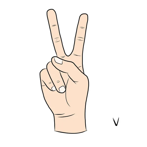 dil ve alfabe harf v