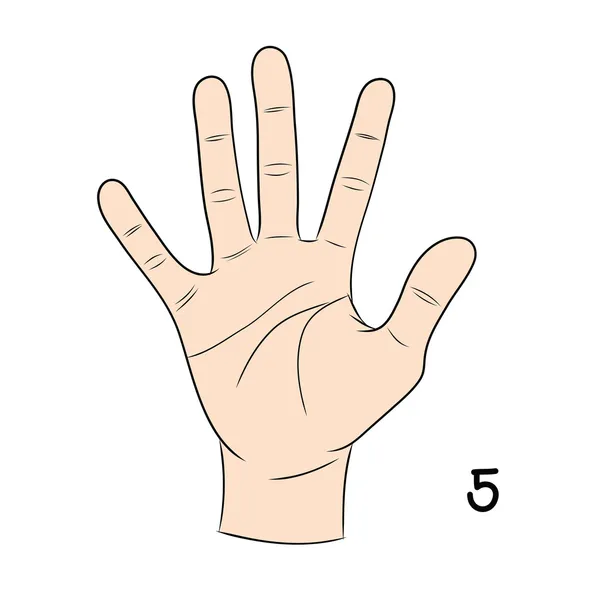 Język migowy, numer 5 — Wektor stockowy