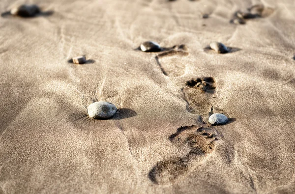 A piedi nudi — Foto Stock