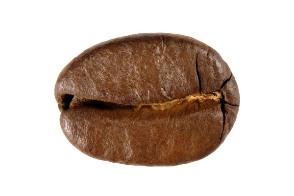 A single coffee bean (horizontal) - eine einzelne Kaffee-Bohne — Stock Photo, Image