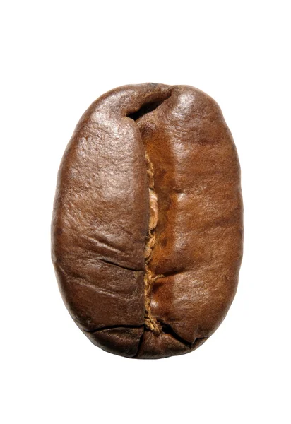 Крупный план одного кофейного зерна (вертикальное положение) - Kaffeebohne — стоковое фото