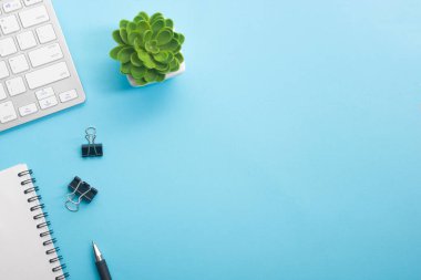 Dizüstü bilgisayarı, akıllı telefonu ve bir fincan kahveli diğer iş malzemeleri olan mavi masa ofisi. Metni kopyalamak için üst görünümü kullan. Desenci çalışma alanı düz masa üzerinde temel elementler yatıyordu