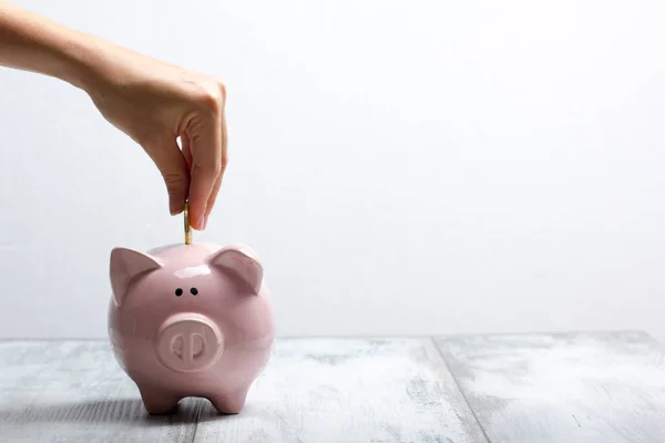 Mão mulher colocando dinheiro moeda em porquinho para economizar dinheiro riqueza e conceito financeiro — Fotografia de Stock