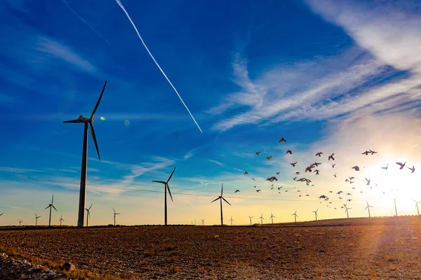风力涡轮机用于产生具有复制空间的电力 绿色能源概念 田间的风车农场 — 图库照片
