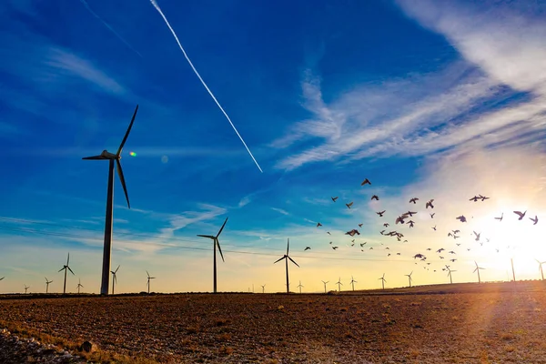 Turbinas Eólicas Para Geração Eletricidade Com Espaço Cópia Conceito Energia — Fotografia de Stock