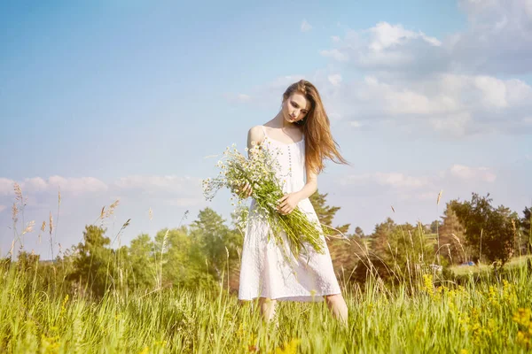 Mädchen Weißem Kleid Geht Aufs Feld — Stockfoto