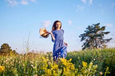 Mavi elbiseli kız tarlada yürüyor.