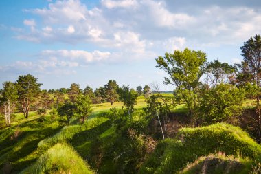Yamaçlarda ağaçlarla kaplı bir bahar tarlası.