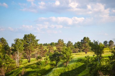 Yamaçlarda ağaçlarla kaplı bir bahar tarlası.