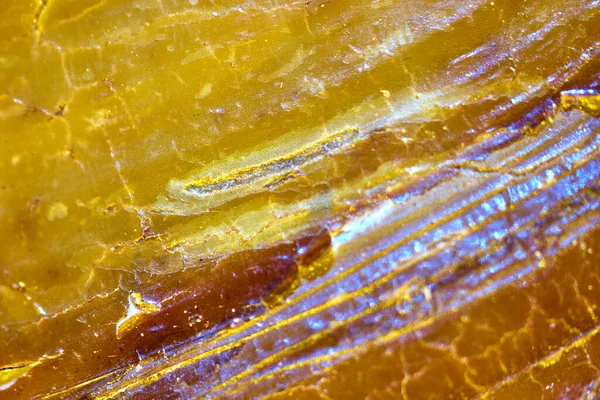 Beautiful Texture Wave Pattern Shell Surface Microscope — Stock Photo, Image