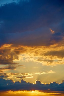 warm summer evening on a field of sunflowers with sun rays