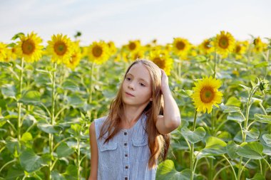 Ayçiçeği tarlasında güzel bir kız