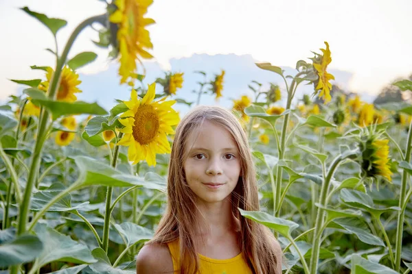 Молодая Красивая Девушка Поле Подсолнухов — стоковое фото