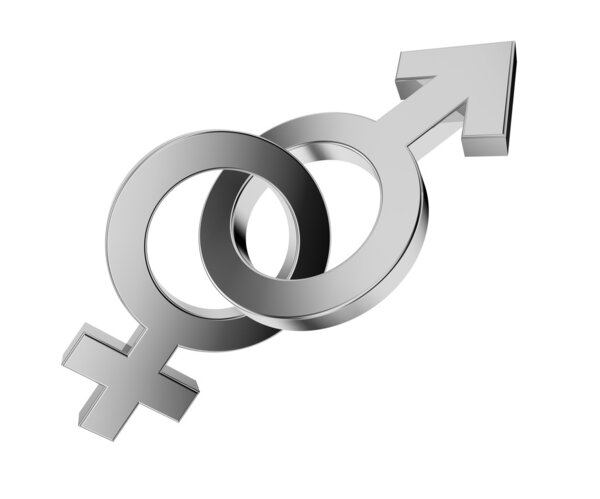 мужская и женская концепции
