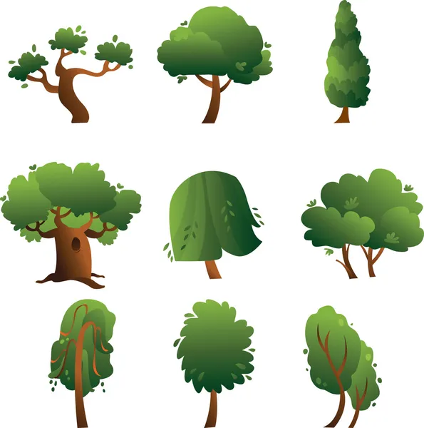 Set of trees - summer — Stock Vector