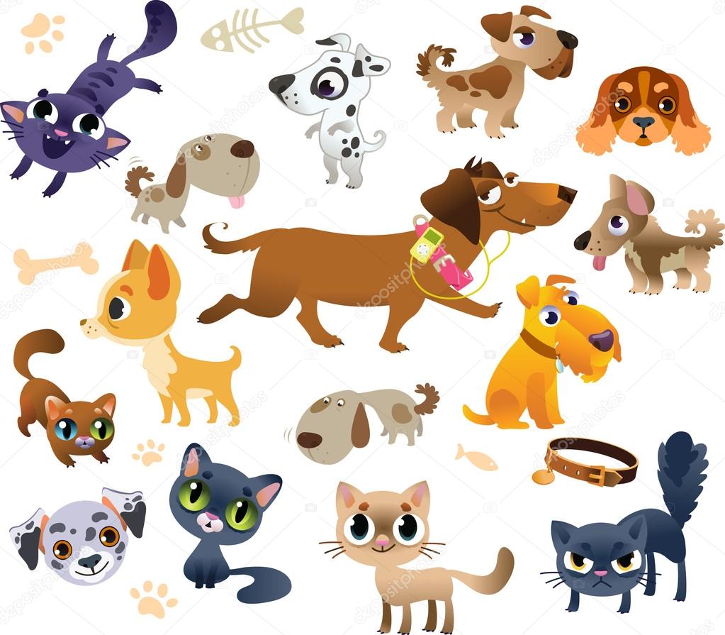 Collection of cats and dogs