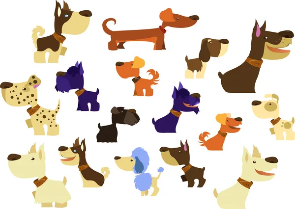 Колекція великими собаками — стоковий вектор
