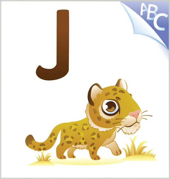 Dierlijke alfabet voor de kinderen: J voor de Jaguar — Stockvector