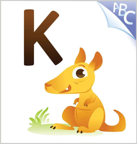 Alfabeto animal para los niños: K para el canguro — Vector de stock