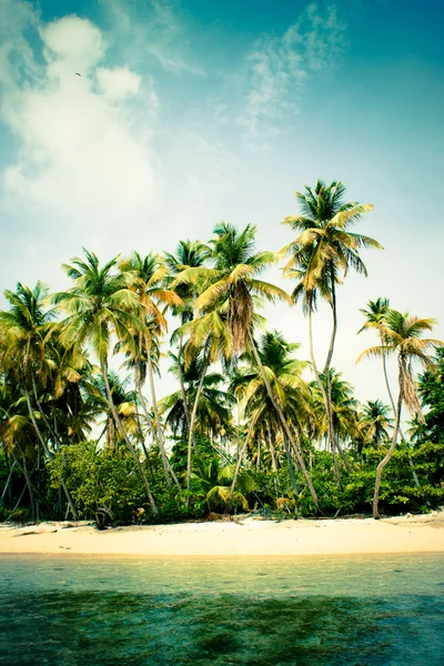 Palm tree island — Stock Photo, Image