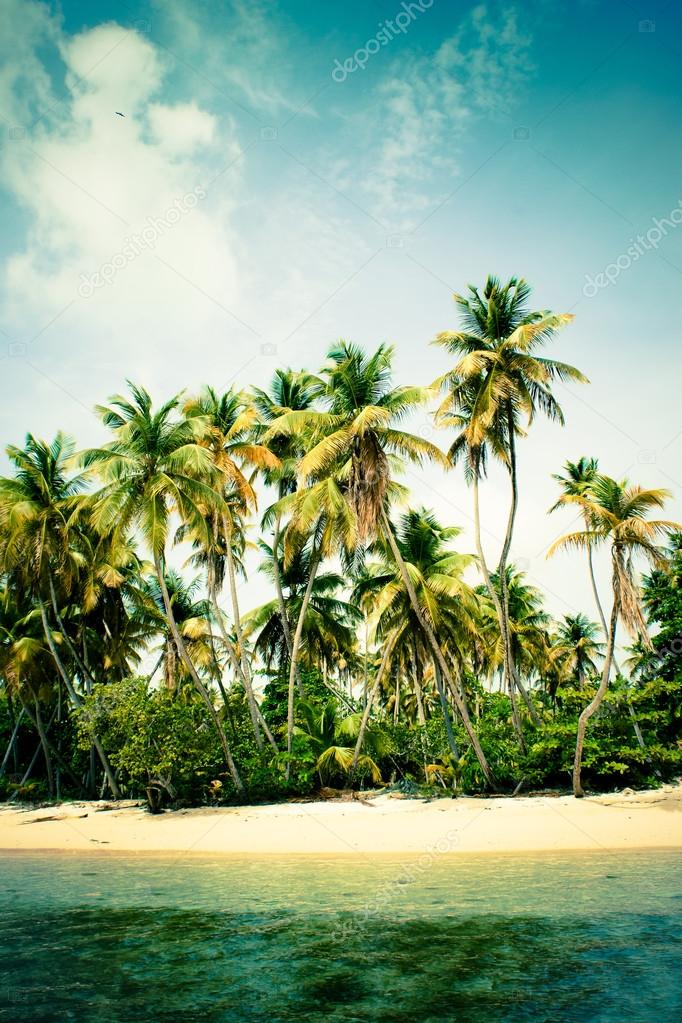Palm tree island