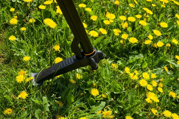 Lavori in giardino — Foto Stock