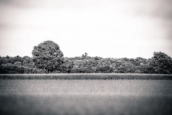 田舎の風景 — ストック写真