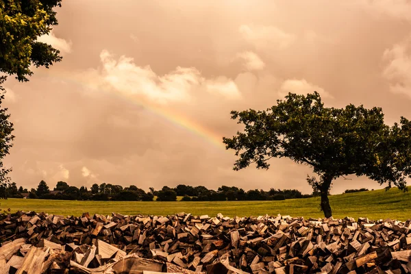 Countryside scenery — Stock Photo, Image