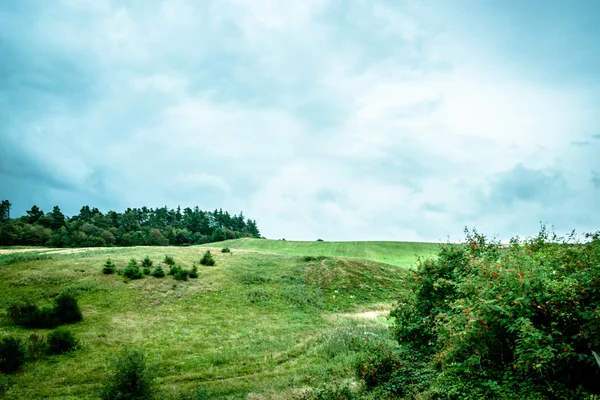 Zielone pola — Zdjęcie stockowe