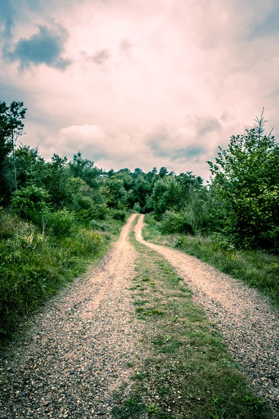 Estrada na natureza — Fotografia de Stock