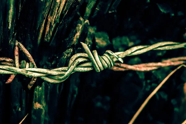 Barb wire — Stock Photo, Image