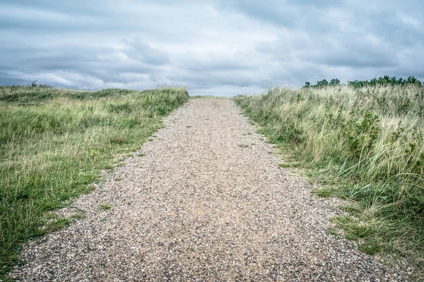 Väg i naturen — Stockfoto