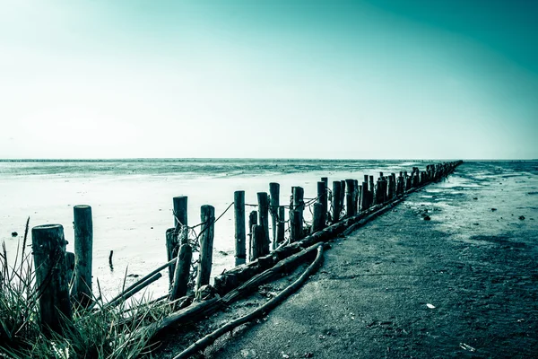 Odlivu beach — Stock fotografie