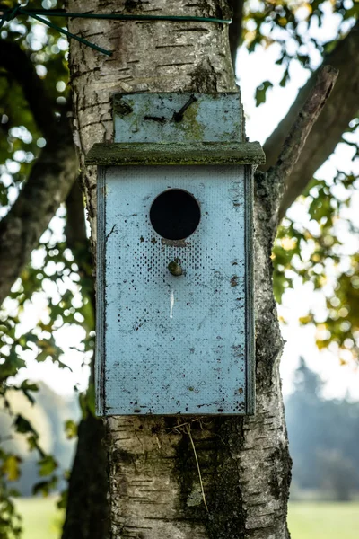 Casa de aves —  Fotos de Stock