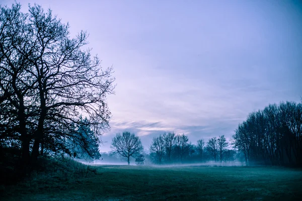 Morgennebel — Stockfoto